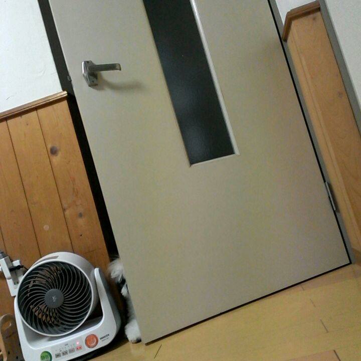 70679c0b c3a8 4e17 ba54 c460effcd772