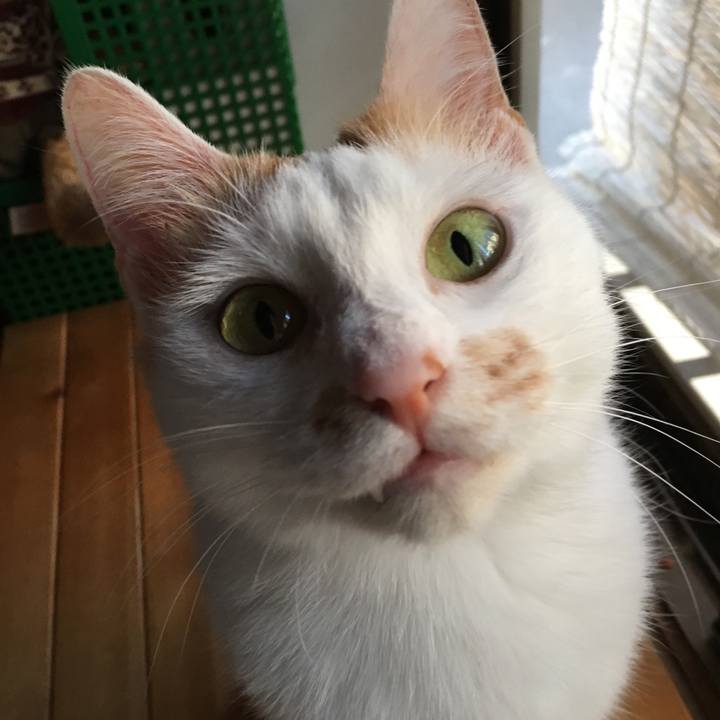 70685d40 4945 4f8e a742 85a884106b76