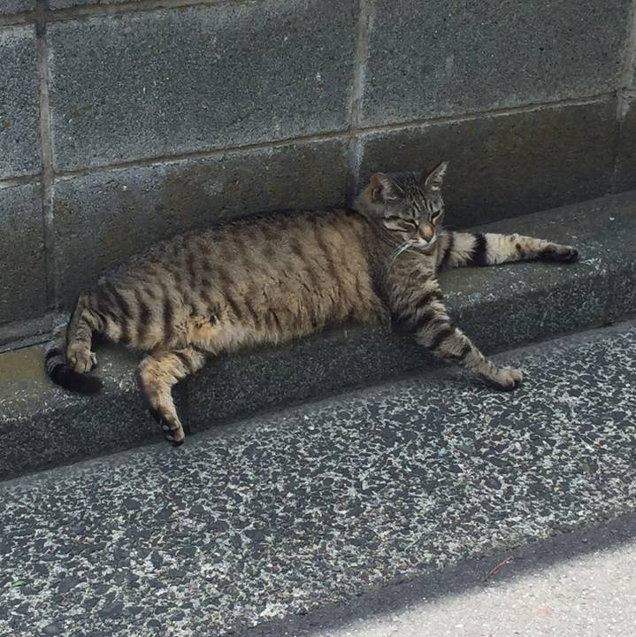 7068b2be e32f 4750 90aa da9fe095653d