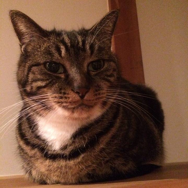 70694c1d 8e30 4be8 9619 64a7c5b43f18