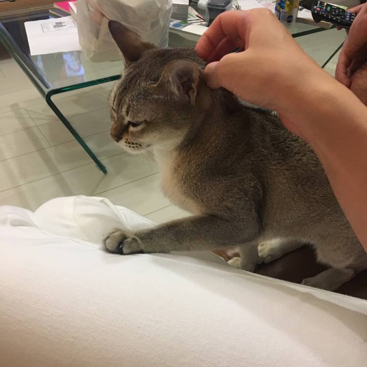 70696734 301f 4c2e a61c 6e50ea89bb30