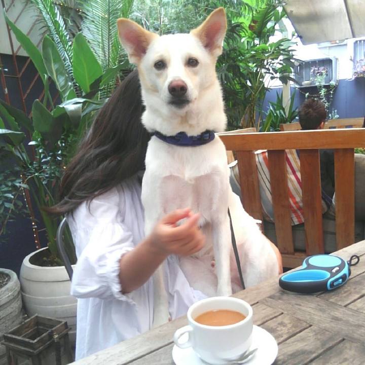 7069ee19 6a1b 4414 88a6 155aec7803fb