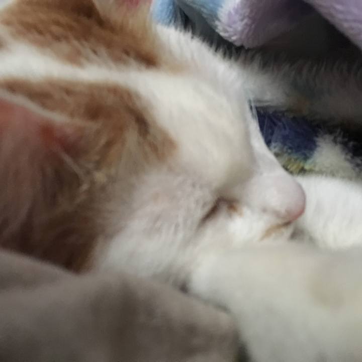 7069f240 0ea7 4769 9b10 19f437560c10