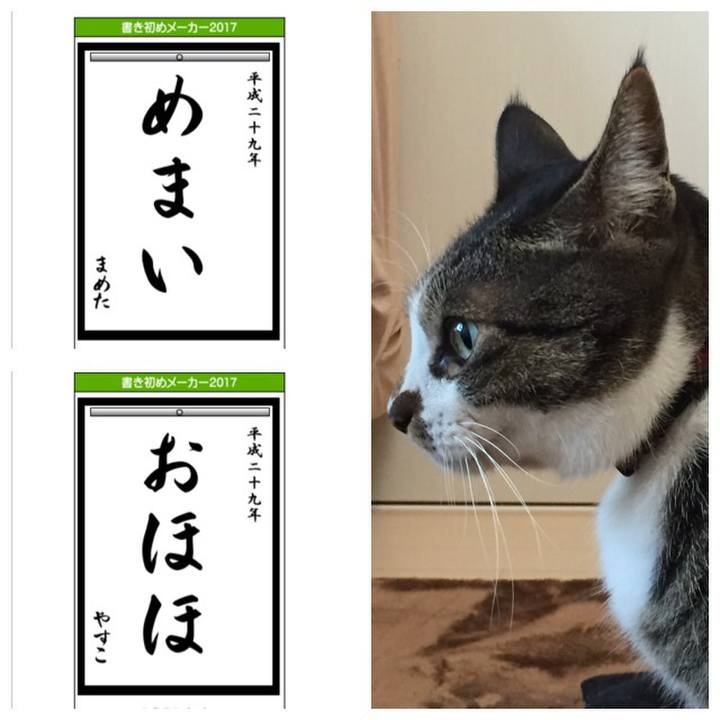 706ae225 ca21 4943 8aad 80a2131c227a