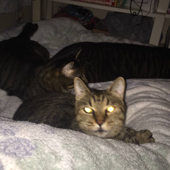 706ae4ae 304e 47c6 9290 0ee68ed51ffb