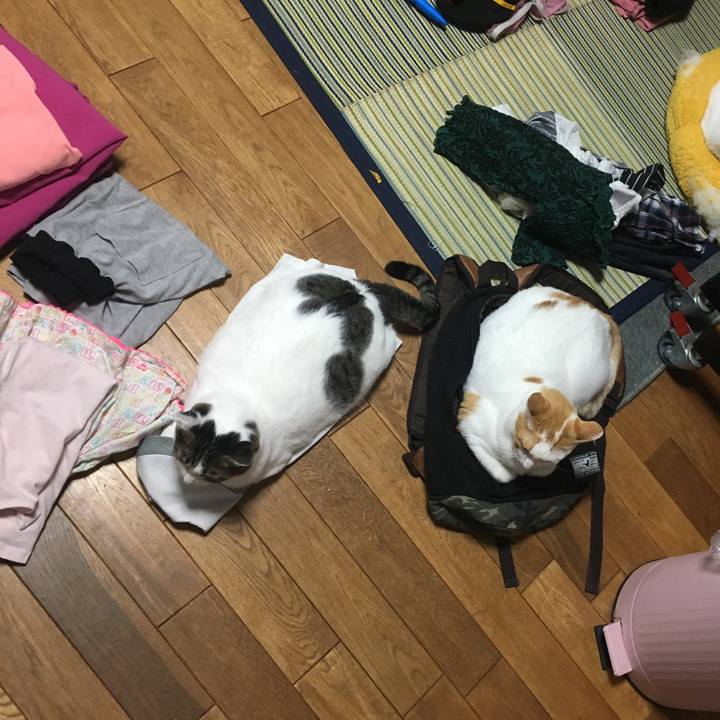 706b60e7 72f0 4aab 9982 bd5f8122b2be