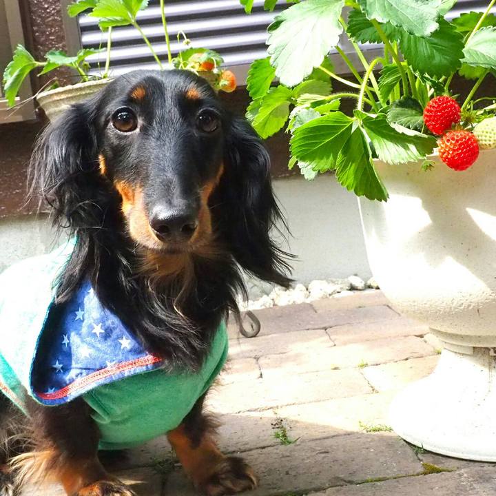 706b725d 6bdb 433a ac5a 680a9e26114a