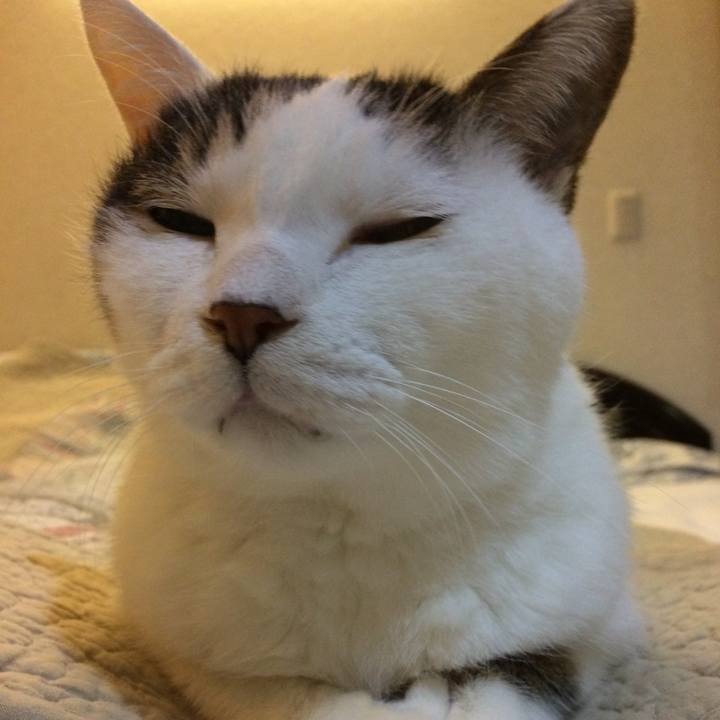 706c6a49 9a4c 4603 b7e9 1488e6007193