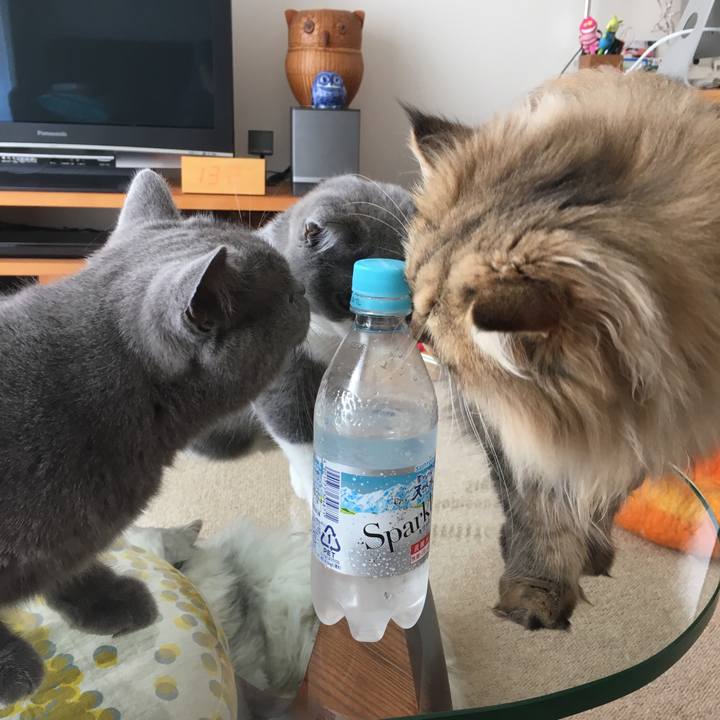 706d3535 a1dc 400b 97ce fb9ff73b0814