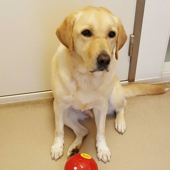 706d39c0 5f89 4bbe b594 0e59db815e3d