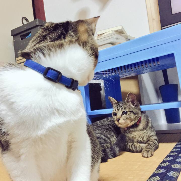 706da180 b4e9 4517 8cd1 b3e7a73d5646