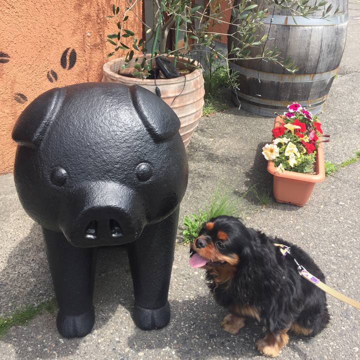 706df313 3edb 4d14 9e91 52e5e30a5b9a