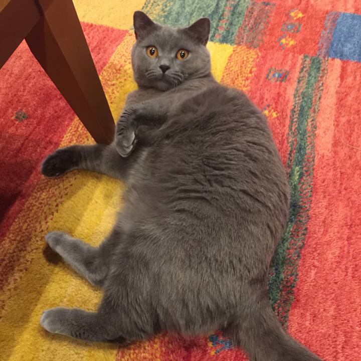 706e5c8f a6b3 49dc 8c38 d01bfa64a911