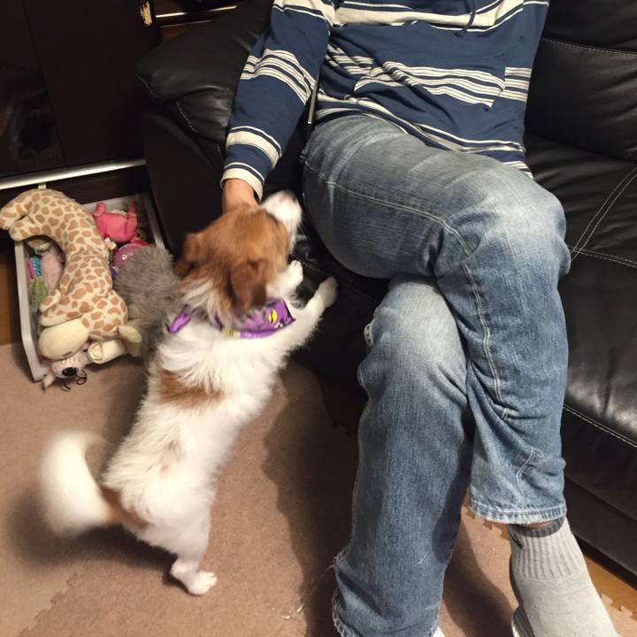 706ef9bb 4f1b 4c38 9a25 25398e45fc62