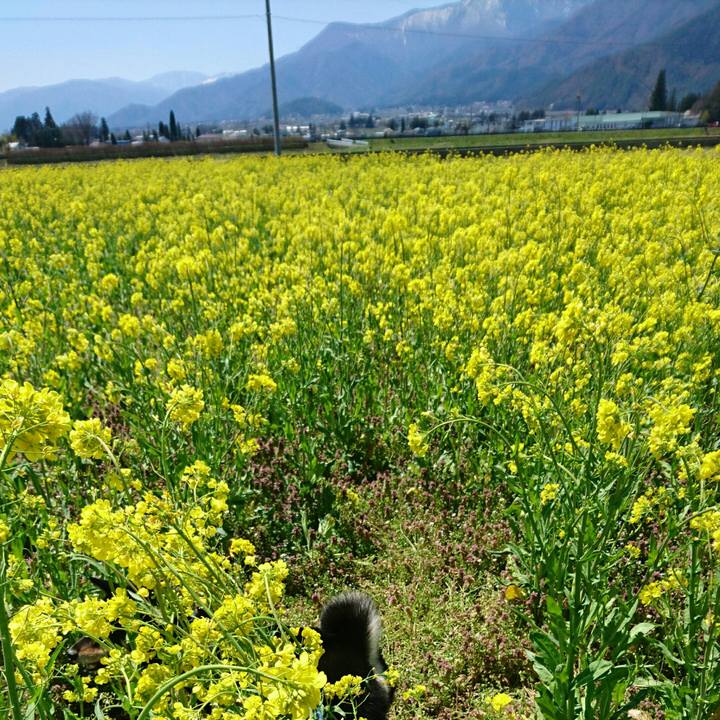 706f4023 159f 4eb4 9a75 1f6cd9502761