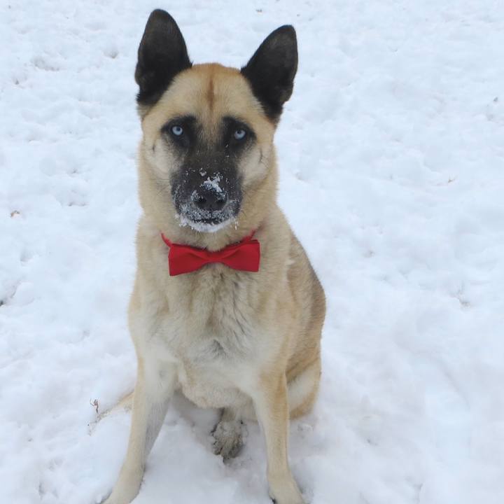 706f6487 a78c 42fc 9d57 af125318471d