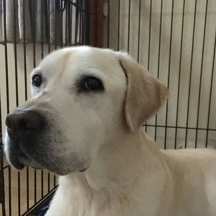 70711f94 3e42 4632 987e dacf9e92f0dc