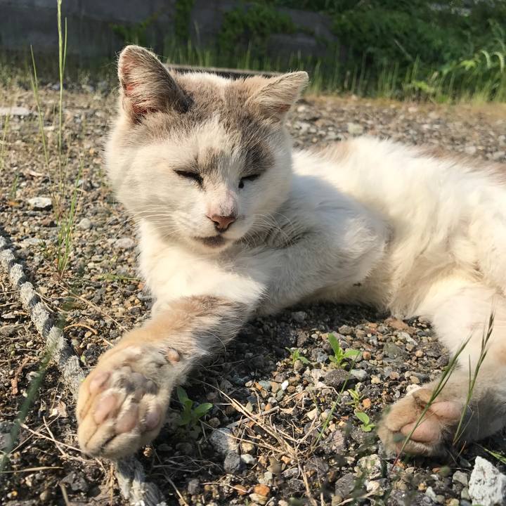 70717d7f e172 4184 baf5 9a9887aa9358