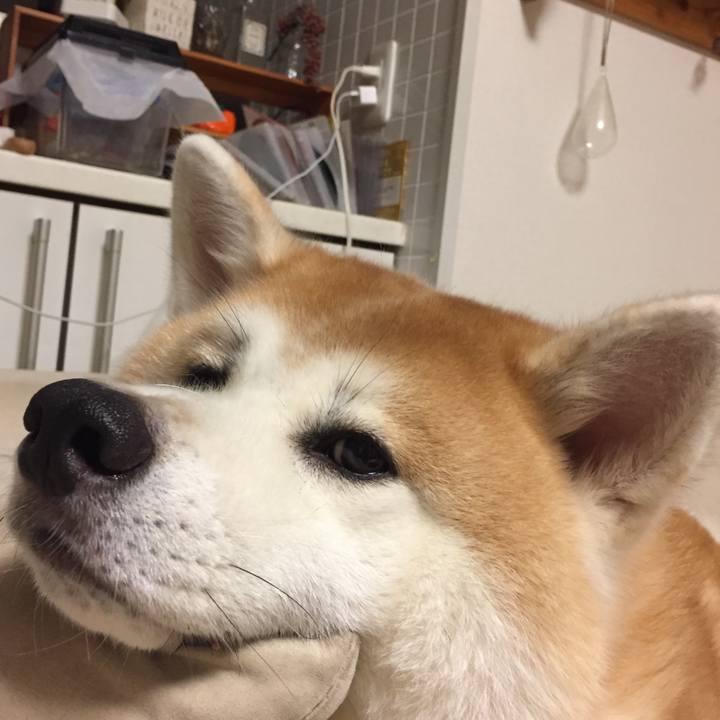 7071ced2 76b3 4423 8eda f6581d223dc3