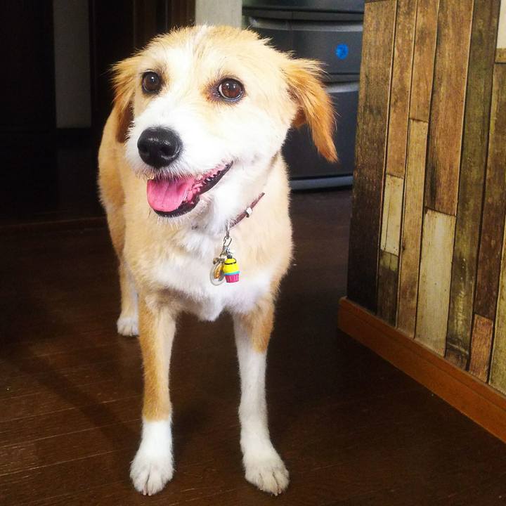 7071d615 8b64 4341 8acf 6b8372ddd657