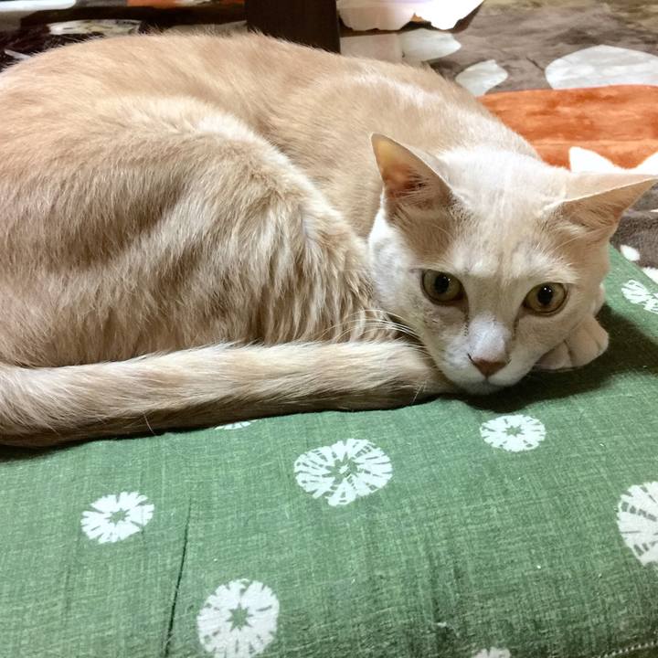 70720071 4979 4366 acdc 0ad72ca46a1a