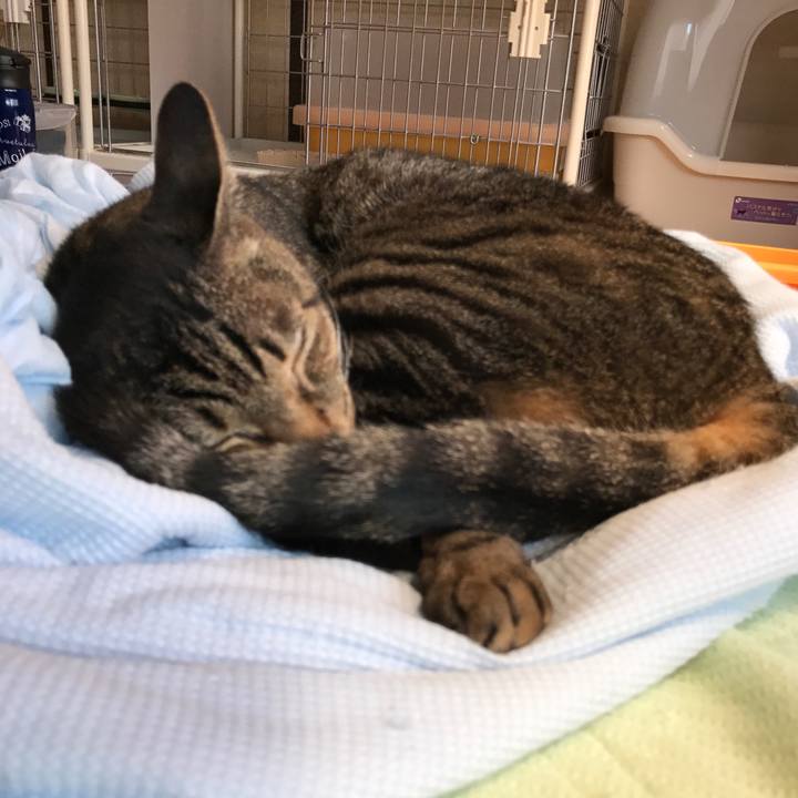 70728fc5 0f9e 4dbb 826f 7f97f1279493