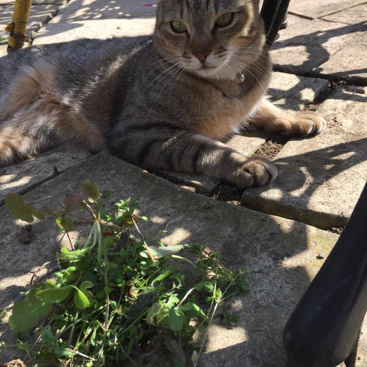 7072c3e6 25bf 4387 8b6f 19ce698d02be