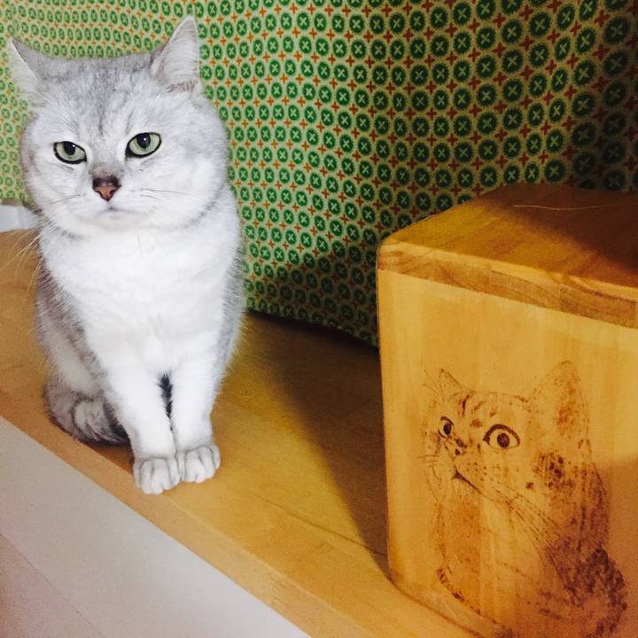 707394e6 94e3 4266 964a d443d4edde1c