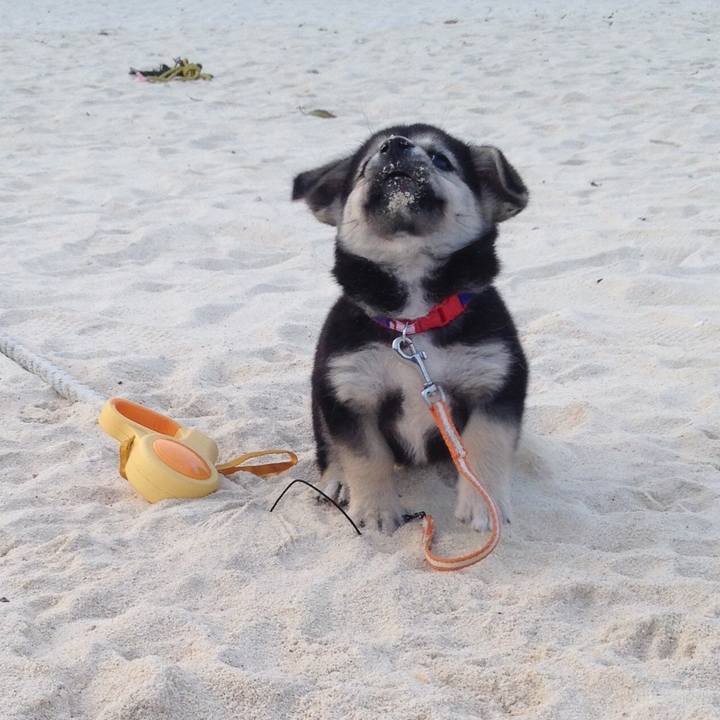 70744e40 fd58 4c5d be78 626912e2bdae