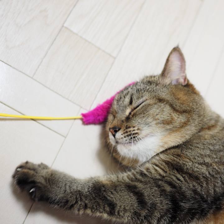 7074b893 23e5 4c5c 8548 25e7607d7fca