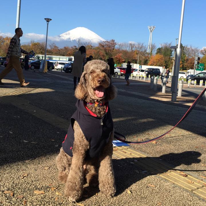 70752810 26b6 4ba1 bdc7 b75876e1c86e