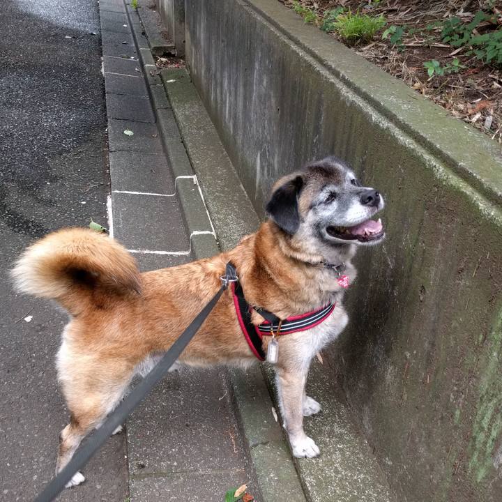 7075c7b7 06f2 4210 9f4c ee1b4c8e791c