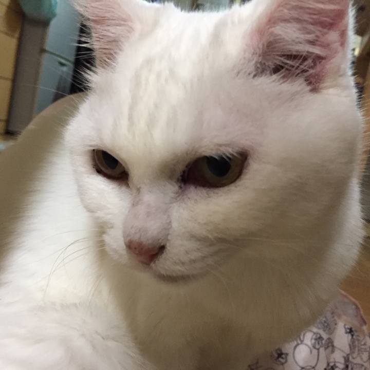 7075f824 0468 491b aa17 1a0dda5388f5