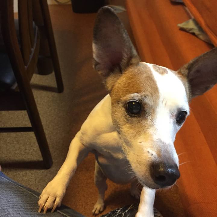 70763f8c 8bb3 455b 91b5 abbfe056d8db