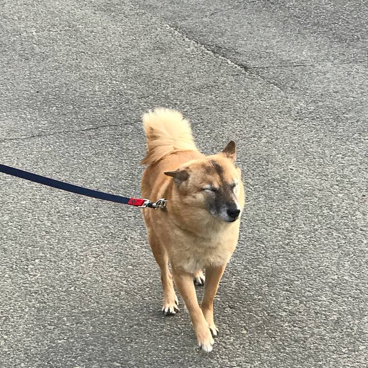 70769442 5bdb 4e66 a2d8 6d98ea3ed20a