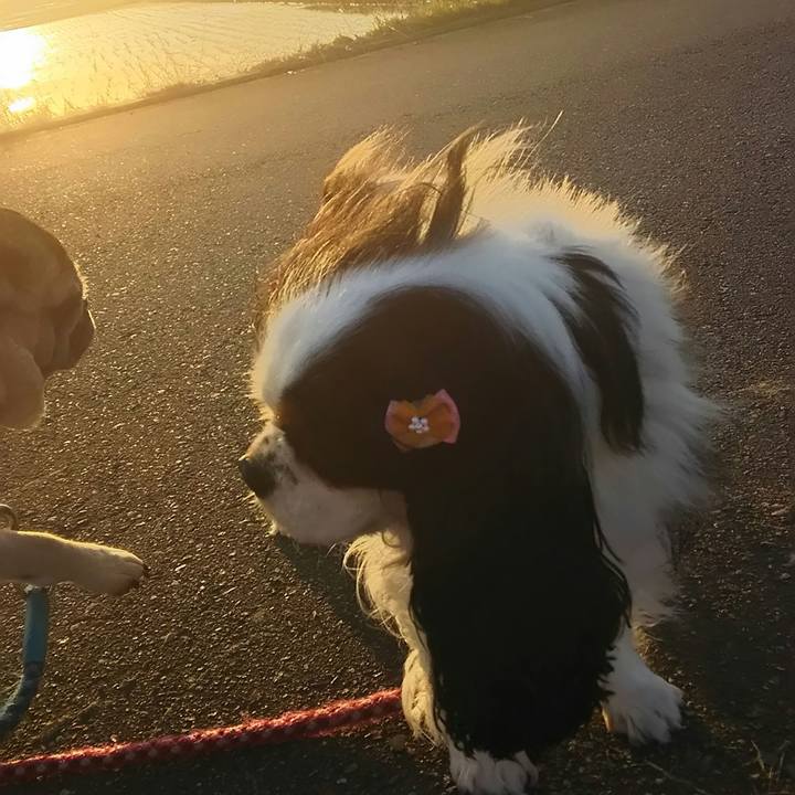 7076d19a abd4 4903 a855 8bc69458aa30