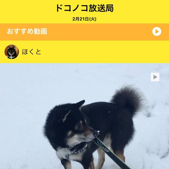 7076f830 dddb 45a7 8b60 c539544dfa7e