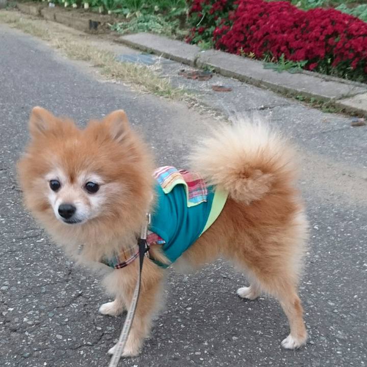 70771ae3 7c52 4caa 979c 72d58d87a7bc