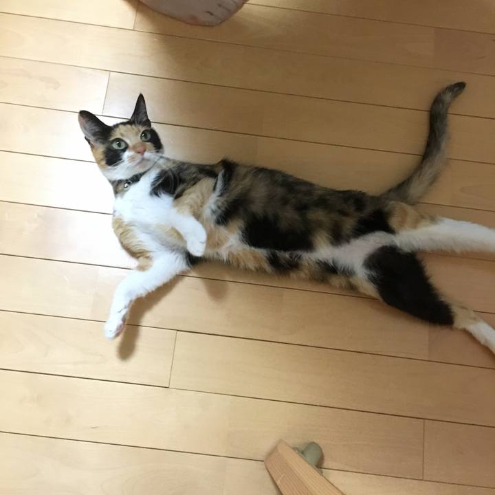 70773c67 da23 4b28 8d21 f95fd4425f07