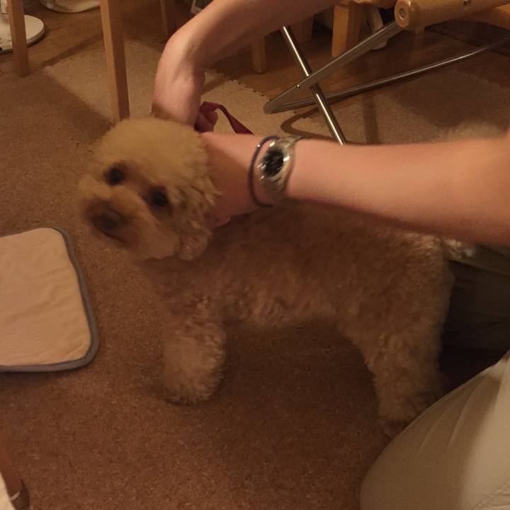 707780af 04ca 4083 9e20 441e8fdda2f6