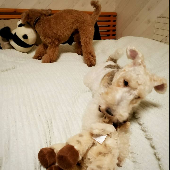 70780ac1 2a8f 4e90 a818 c433753bb80a