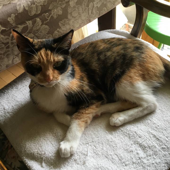 70788fc5 5156 45a6 8bf2 d3c4fdc36797