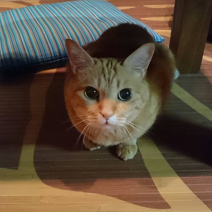 70795df6 d423 4f56 a80a a9f821c80f01