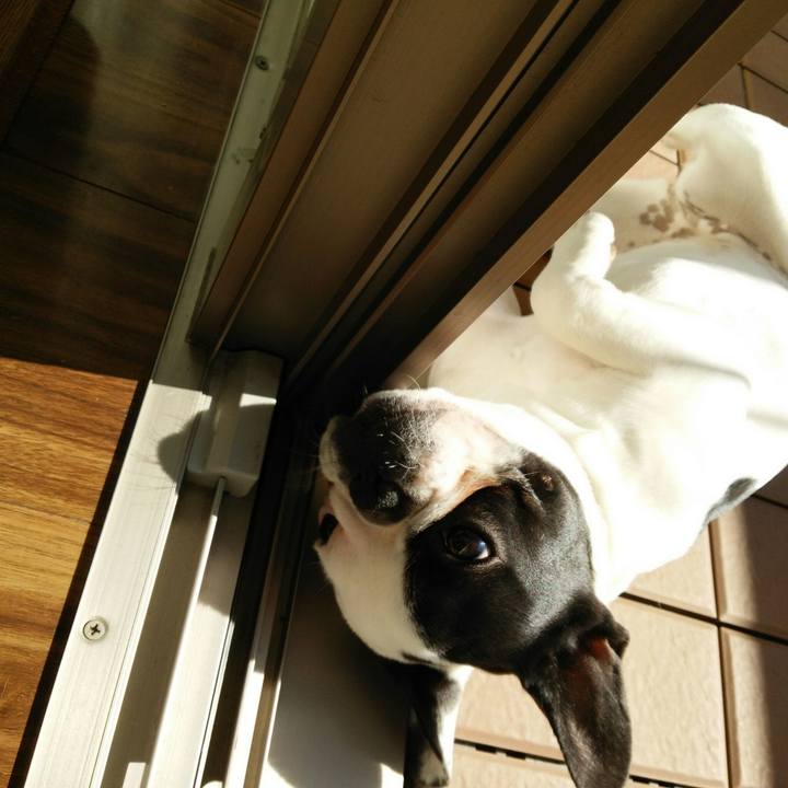 707a2476 6ae5 4d55 9bb2 122709ebabad