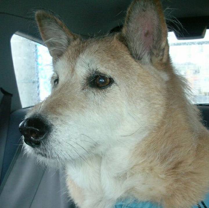 707a64c3 185c 4b79 9568 a45cd7634864