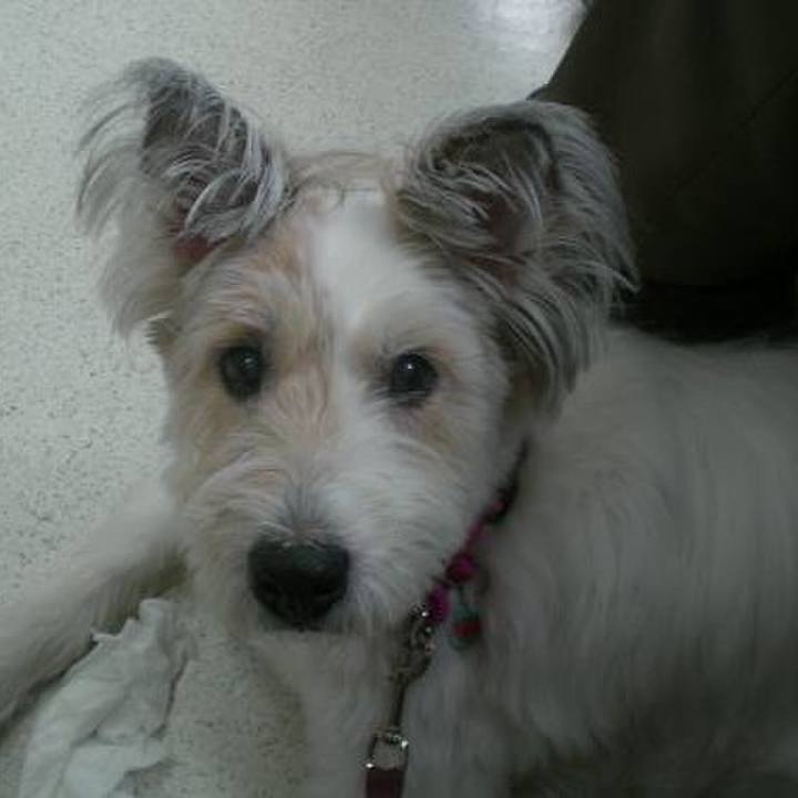 707a78f3 b452 44e7 bd00 749e32b75c1f