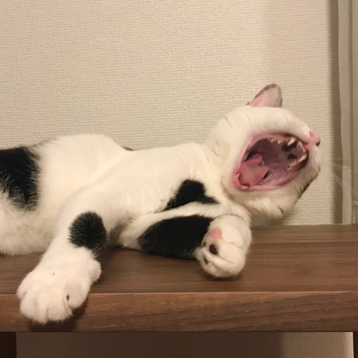 707b8510 4929 479c a3c4 7bc42fe1332b