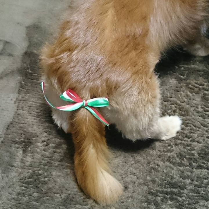 707b94c7 9dd6 49e2 a37f 61f75c6e0083