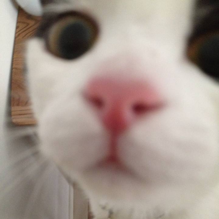 707c235f 24e3 49de 9812 c3f416054a73