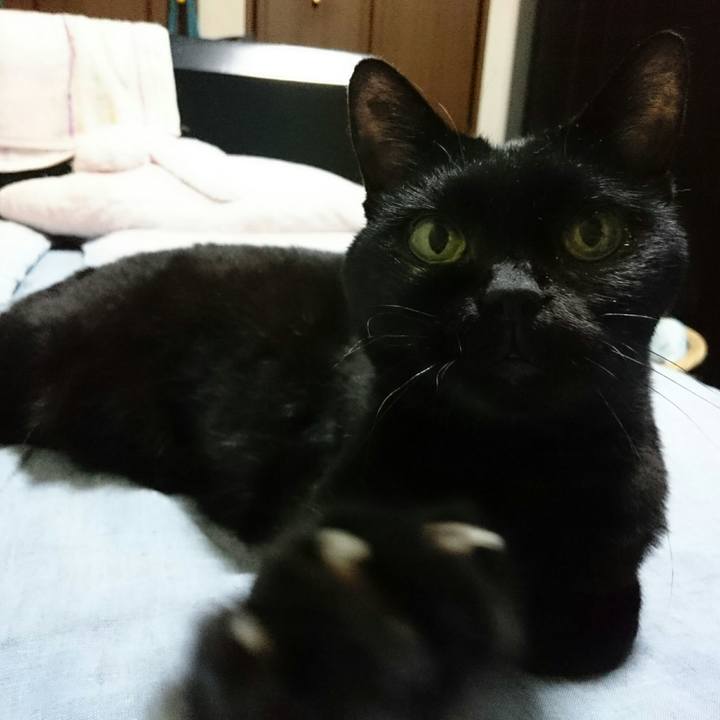 707cd85e 47b3 4c2e 8740 fd1227efd040